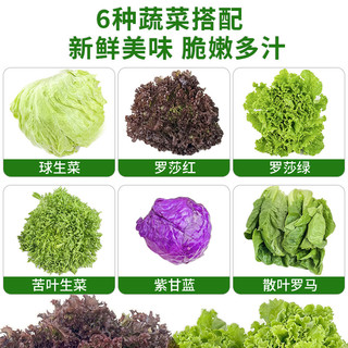 绿食者 新鲜蔬菜沙拉组合4斤 西餐色拉沙拉生菜轻食食材配菜