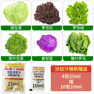 绿食者 新鲜蔬菜沙拉组合4斤 西餐色拉沙拉生菜轻食食材配菜