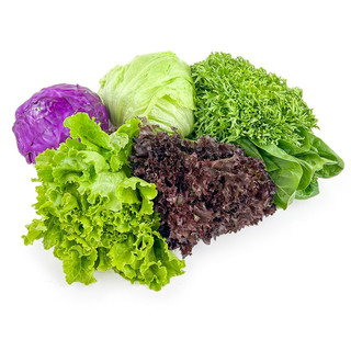 绿食者 新鲜蔬菜沙拉组合4斤 西餐色拉沙拉生菜轻食食材配菜