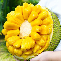 海南黄肉菠萝蜜 15-20斤