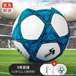 邦帛世足球5号成人儿童中考标准世界杯专业比赛训练青少年小学生五号