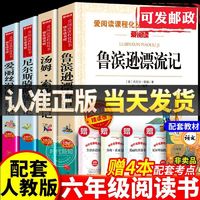 百亿补贴：鲁滨逊漂流记六年级下册课外书阅读全套爱丽丝梦游仙境骑鹅旅行记