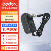 Godox 神牛 LED补光灯充电套装 适用于神牛补光灯摄影灯大容量  P120C适配器 官方标配