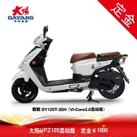 大阳电动车 大阳VPZ125混动版载载DY125T-28H全能商用踏板车 混动版   白变龙   定金