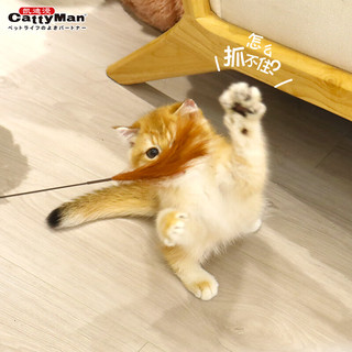 多格漫猫咪玩具 麦芦草逗猫棒宠物互动逗猫杆 长款 芦苇2支