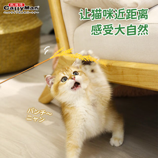 多格漫猫咪玩具 麦芦草逗猫棒宠物互动逗猫杆 长款 麦穗2支