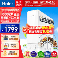 Haier 海尔 净水器家用厨下式双出水RO膜反渗透母婴直饮1000G净水器