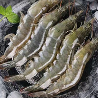 品八鲜 新鲜速冻 超大 厄瓜多尔白虾盐冻大虾 （40-50） *4斤