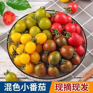 圣女果新鲜小水果西红柿迷彩黄青红4斤