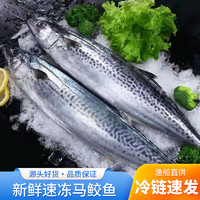 深海大鲅鱼 新鲜马鲛鱼 400-500克*1