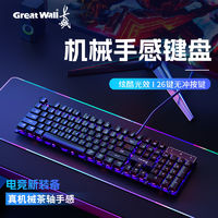 百亿补贴：Great Wall 长城 21有线键盘鼠标套装茶轴机械手感发光通用办公电竞游戏通用