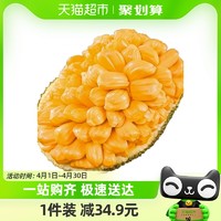 88VIP：果园密码 越南菠萝蜜8-9斤新鲜热带水果当季波罗干苞整个水果