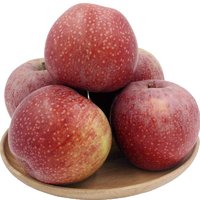 京世泽 秦冠苹果 粉面苹果 新鲜水果 老人小孩皆可吃 4.5kg装 农家果园自种