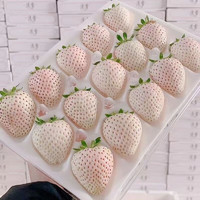谷园绘 特大果1斤22粒当季淡雪白草莓新鲜礼盒装