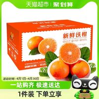 88VIP：鲜蜂队 云南沃柑5斤*1盒 桔橘子新鲜水果整箱
