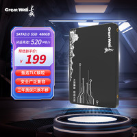 Great Wall 长城 480GB SSD固态硬盘 SATA3.0接口 读速520MB/S台式机/笔记本通用 GW520系列