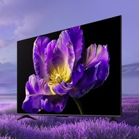 Xiaomi 小米 L55MA-SPL 液晶电视 55英寸