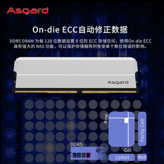 Asgard 阿斯加特 48GB(24GBx2)套装 DDR5 5600 台式机内存 海拉系列