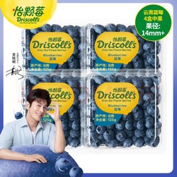 怡颗莓 Driscoll’s 云南蓝莓14mm+ 4盒 125g/盒 新鲜水果