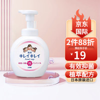 狮王（LION）泡沫洗手液儿童宝宝清洁温和清爽植物花香水果香 淡香型250ml