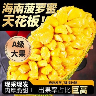 雪束 超甜海南黄肉老树菠萝蜜整果  精选13-17斤（1个果）