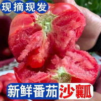 鼎鲜满 现摘速发 陕西泾阳生吃沙瓤 草莓西红柿 净重4.5斤 50箱大果秒杀