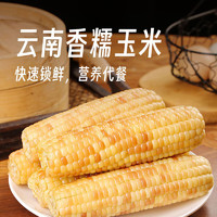 京百味 云南香糯小玉米 2kg