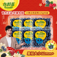 Driscoll's Only the Finest Berries 怡颗莓 当季云南蓝莓 中果125g*5盒