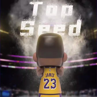 ACE PLAYER 王牌化身 TopSeed源系列 NBA现役球星詹姆斯 手办模型 70cm