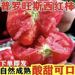 云南普罗旺斯西红柿子9斤