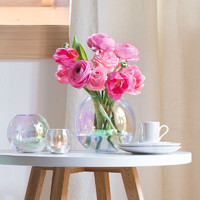 LSA 英国LSA透明玻璃花瓶鲜花客厅水晶插花大肚水培花器摆件