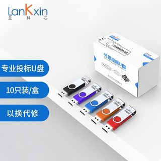 LanKxin 兰科芯 256MB USB2.0 U盘 TB108专业投标U盘 公司企业 招标小容量标签无损电脑优盘10个/盒