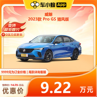 BUICK 别克 威朗 2023款 Pro GS 猎风版