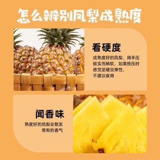 百果园 海南金钻凤梨手撕菠萝5斤应季新鲜热带水果一整箱