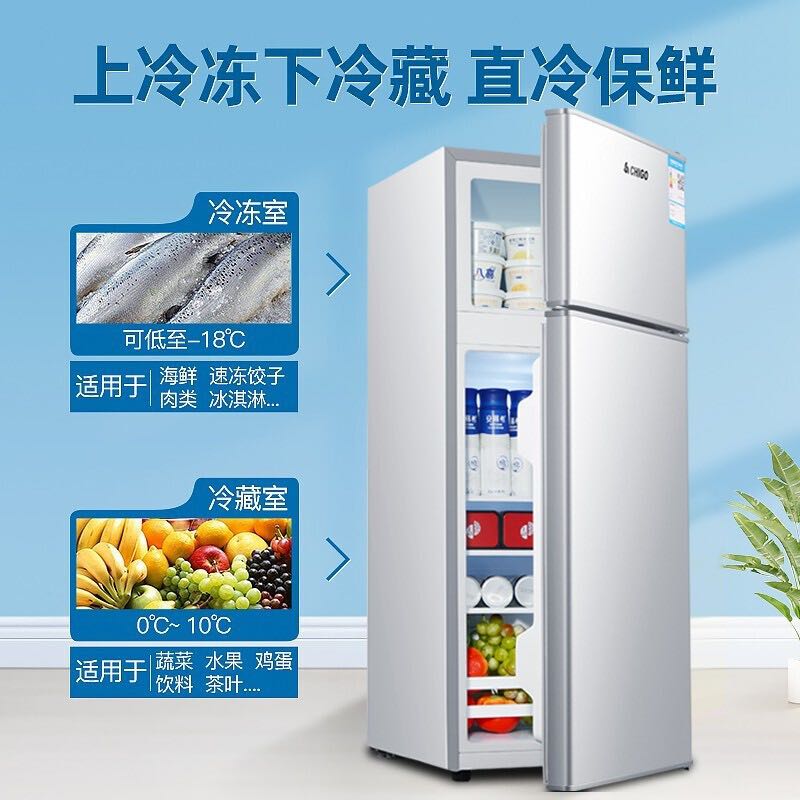 CHIGO 志高 双门小冰箱小型迷你电冰箱家用二门冷藏冷冻双开门68P148双门银色