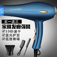 诺美丝 德系电吹风机发廊大功率理发店家用负离子护发速干 德系原装-戴蓝--送三 3米电源线三插头