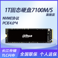 Dahua 大华 C970 PLUS 固态硬盘 2TB