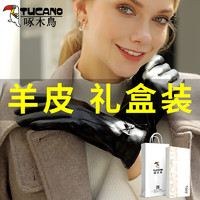 TUCANO啄木鸟真皮手套女冬加绒羊皮保暖触屏开车骑行防泼水防风摩托车加厚防寒 羊皮  蝴蝶结款L