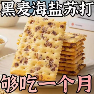 君臣乐黑麦海盐苏打饼干薄脆解馋休闲零食茶点0添加蔗糖 30包装