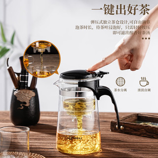 TiaNXI 天喜 茶壶玻璃泡茶壶耐热茶具飘逸杯家用泡茶器茶水分离1000ml