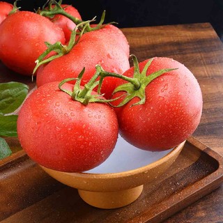 陕西普罗旺斯西红柿 4斤中果 12-16个（顺丰发货）