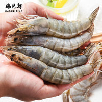 喵满分 特大号白虾鲜活速冻净重3.3斤/盒（33-50只）盐冻大虾