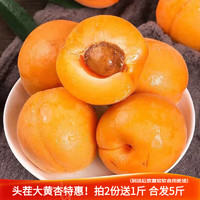 京世泽 陕西金太阳大黄杏 酸甜大杏子 时令水果 颗颗美味 2斤