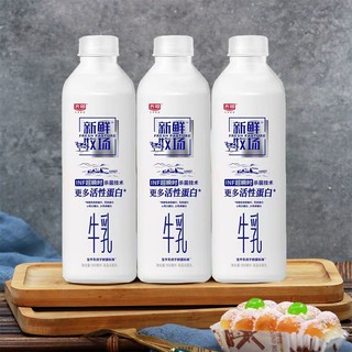 光明新鲜牧场900ml*2瓶低温牛乳活性蛋白儿童营养早餐牛奶