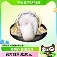 88VIP：喵满分 鲜活乳山生蚝4XL净重5斤8-12个新鲜牡蛎产地直发水产海蛎子