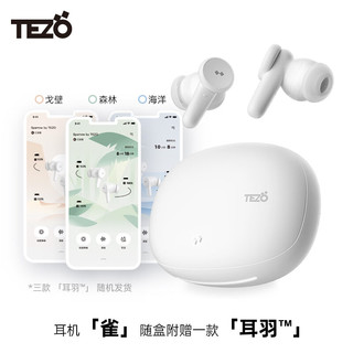 Tezo 雀Sparrow蓝牙耳机2024真无线浅入耳ANC主动降噪通勤耳机 雀（标配+一款耳羽）