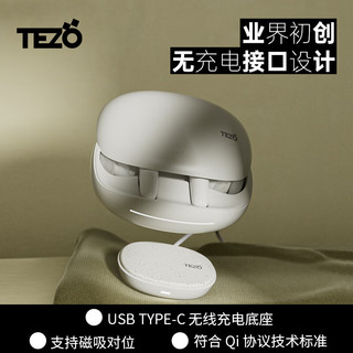 Tezo 雀Sparrow蓝牙耳机2024真无线浅入耳ANC主动降噪通勤耳机 雀（标配+一款耳羽）