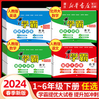 《经纶学霸提优大试卷》（2024版、年级/科目任选）