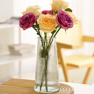 FGHGF 简约玻璃花瓶桌面插花水养干花花瓶ins风客厅摆件 水波纹