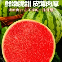 YOULING 柚琳 麒麟西瓜新鲜水果当季新鲜薄皮 麒麟西瓜 净重5- 6斤（一个 装） 精美麒麟西瓜 净重5-6 斤（一个装）